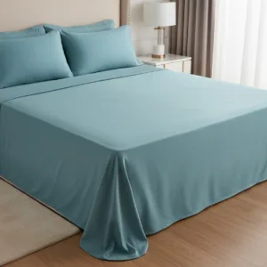 Sky Blue 600TC Plain Bedsheet Set | King & Queen